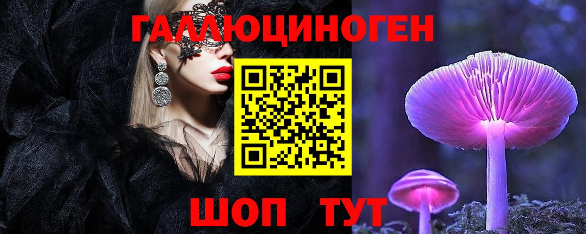 Новоуральск  Галлюциногенные грибы Psilocybe  Вход с VPN 